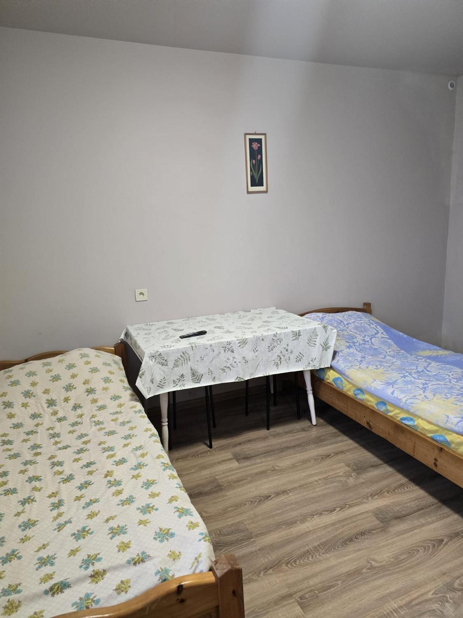 Pensjonat Feliksow Wiskitki Zewnętrze zdjęcie